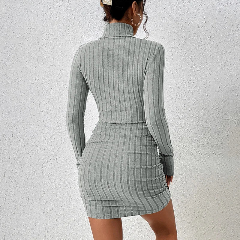 Women Long Sleeves Turtleneck Solid Bodycon