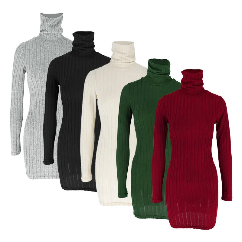 Women Long Sleeves Turtleneck Solid Bodycon